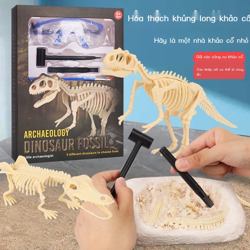 ▪▦Khủng long Hóa thạch Tyrannosaurus Rex Mô hình bộ xương Trẻ em Tự làm bằng tay Đồ chơi khai quật khảo cổ học Cậu bé đà