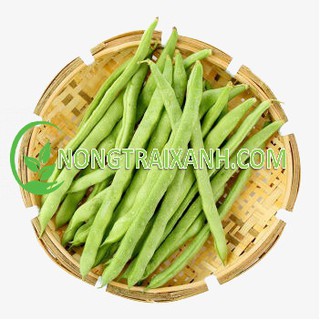 20gr - hạt giống đậu cove leo xanh