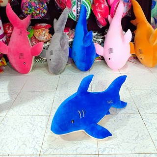 CÁ MẬP NHỒI BÔNG