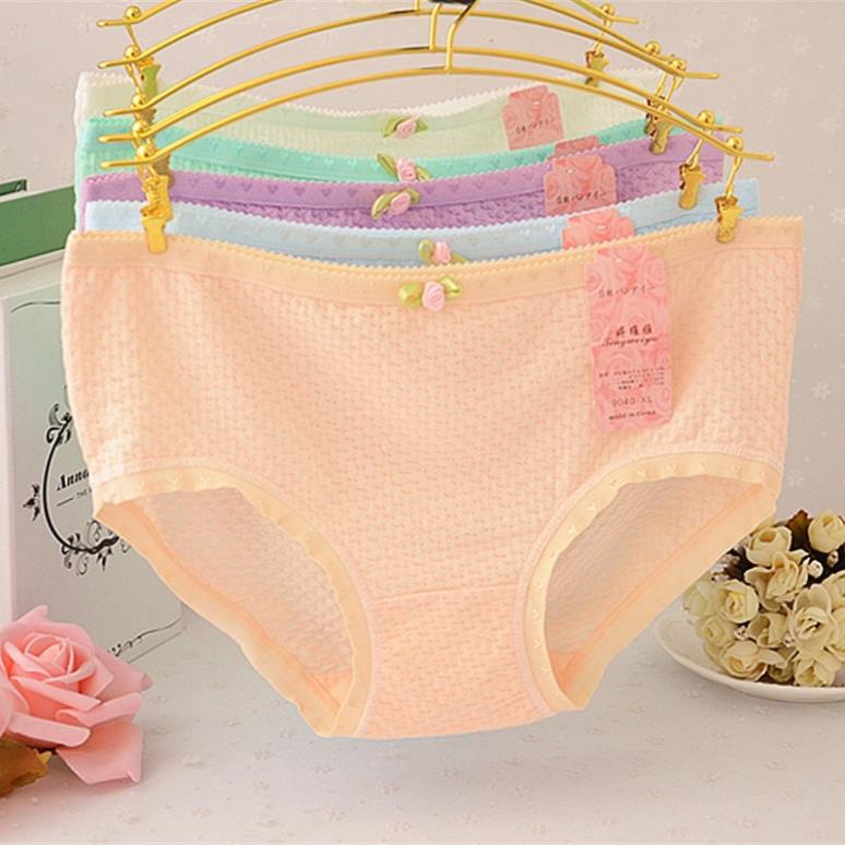 [Giá sỉ] Quần Lót Cotton Thông Hơi Siêu Thoáng 885