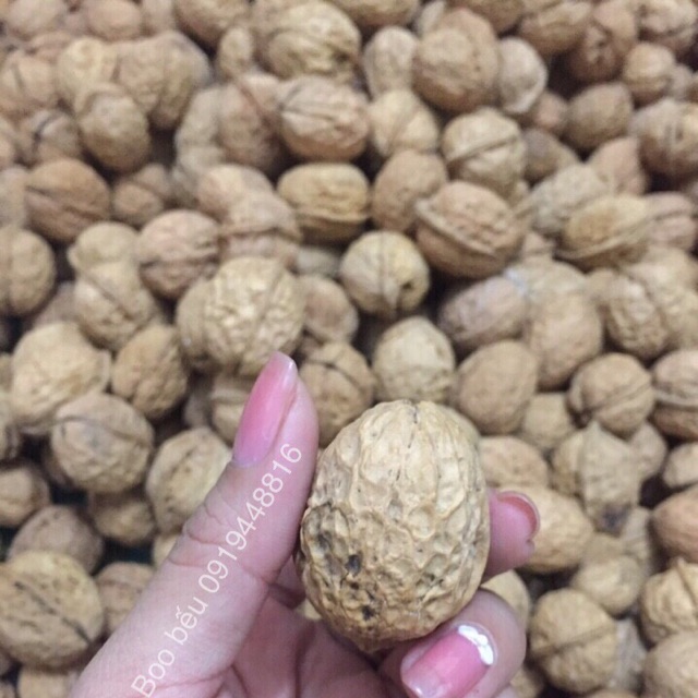 Quả óc chó