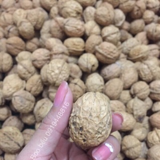 Quả óc chó