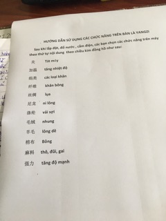 [Freeship 50k Toàn Quốc] BÀN LÀ HƠI NƯỚC ĐỨNG YANGZi