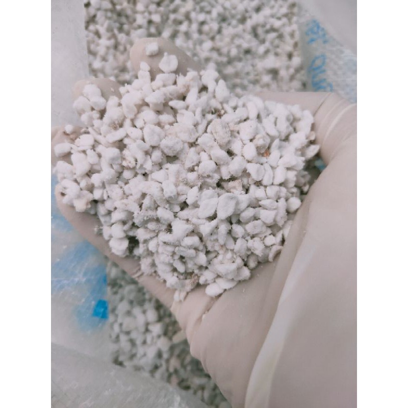 Đá PERLITE - Đá Trân Châu dùng trồng cây, trang trí