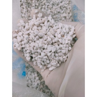 Đá perlite - đá trân châu dùng trồng cây, trang trí
