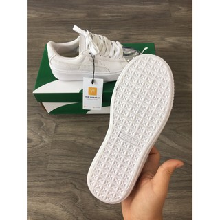 PUMA MŨI BẠC