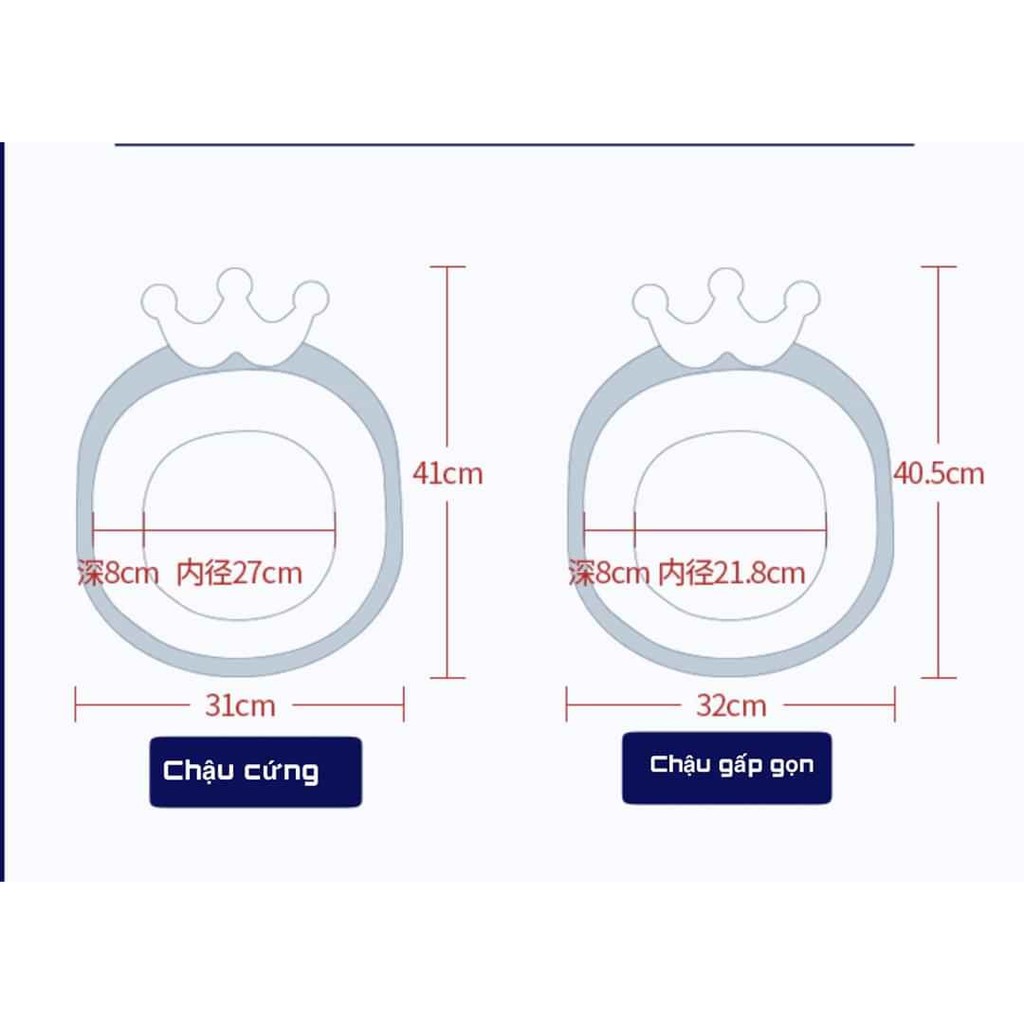 Chậu Crowned Love