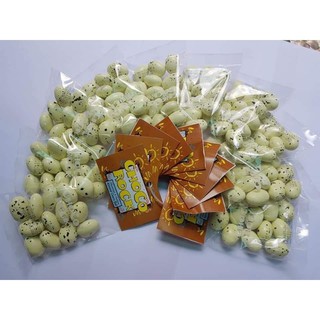Combo 10 gói socola Chocorock trứng (Hàn Quốc)