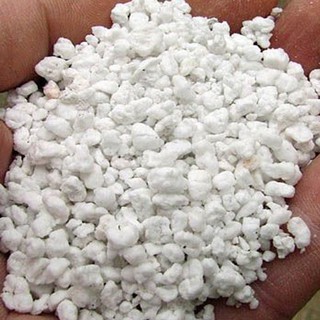 Đá Perlite - Đá Trân Châu Trồng Cây, Trang Trí.