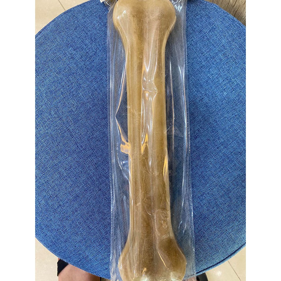 xương da bò 30cm