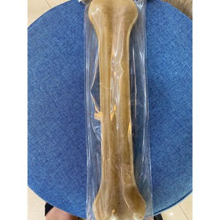 Xương da bò 30cm