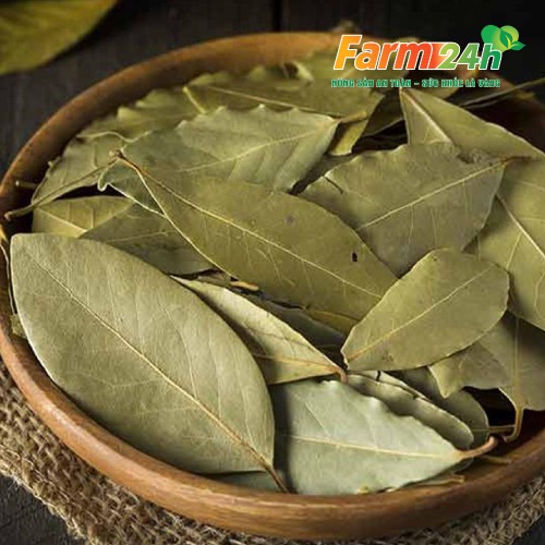 Lá nguyệt quế sấy khô tốt cho tiêu hóa, giảm đau hiệu quả, ngừa cảm cúm, làm đẹp da mặt, gia vị cho các món ăn | Farm24h