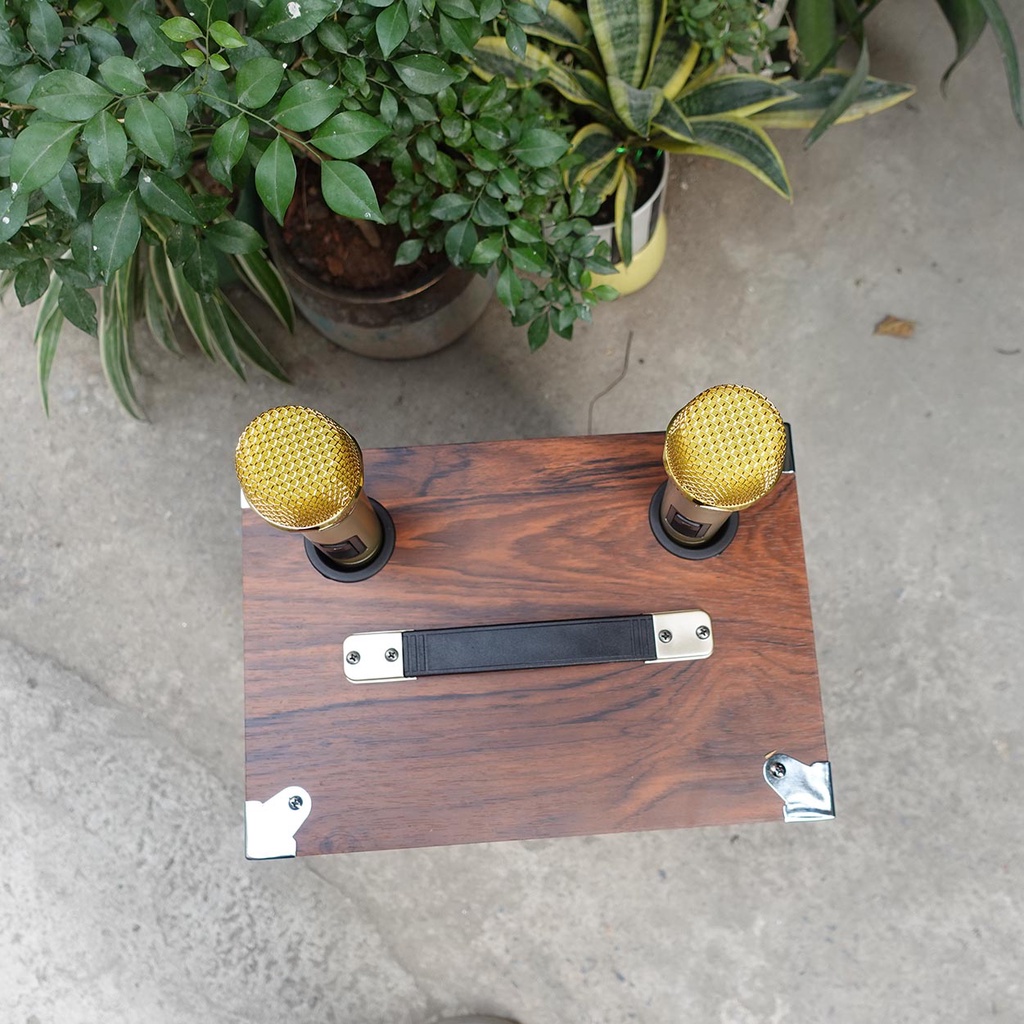 Loa kéo BNIB M10 bass 25cm  - Loa kéo Hát Karaoke kèm 2 Mic VHF Xịn | Bảo Hành 6 tháng