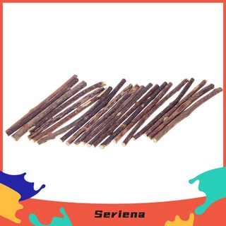 SET 5 QUE GỖ CATNIP BẠC HÀ CHO MÈO