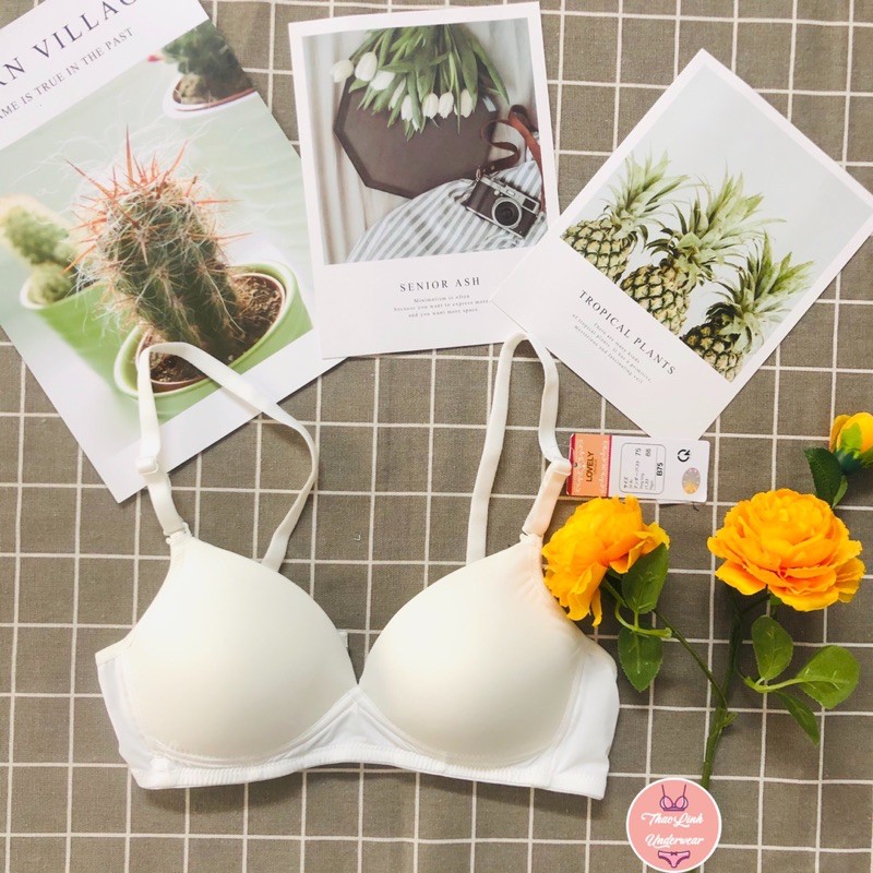 [CHÍNH HÃNG][FREESHIP] Áo Ngực Big Size VNXK Size 34 36 38 40 không gọng mút mỏng quả to học sinh mềm êm mát bầu