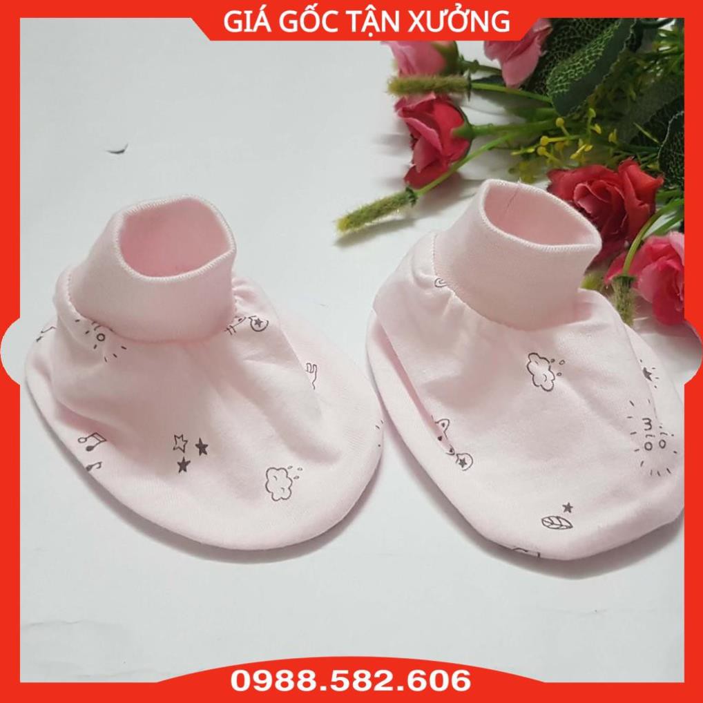 Combo 2 Đôi Bao Tay (2 đôi/túi) + 2 Đôi Bao Chân Miomio Cotton - Mio Việt Nam