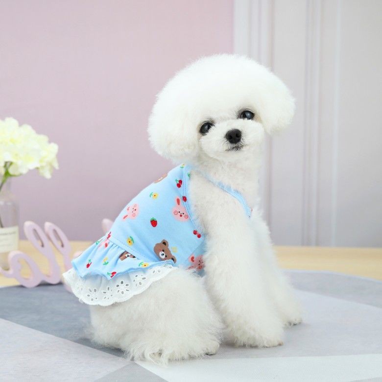 Váy dây treo gấu thỏ quần áo chó cưng công chúa mèo mùa xuân và hè mỏng Teddy Bichon Hiromi khách VIP