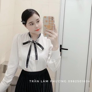 Áo sơ mi trắng cổ nơ viền
