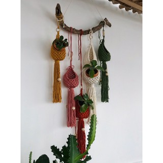 Mành Kén treo cây Macrame (Hình chụp thật)