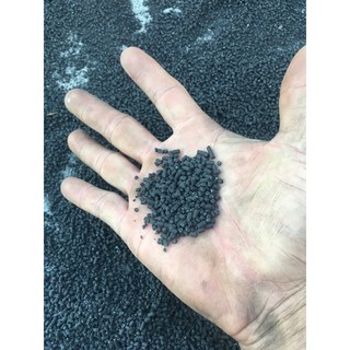Khoáng Cu Gáy 500gr