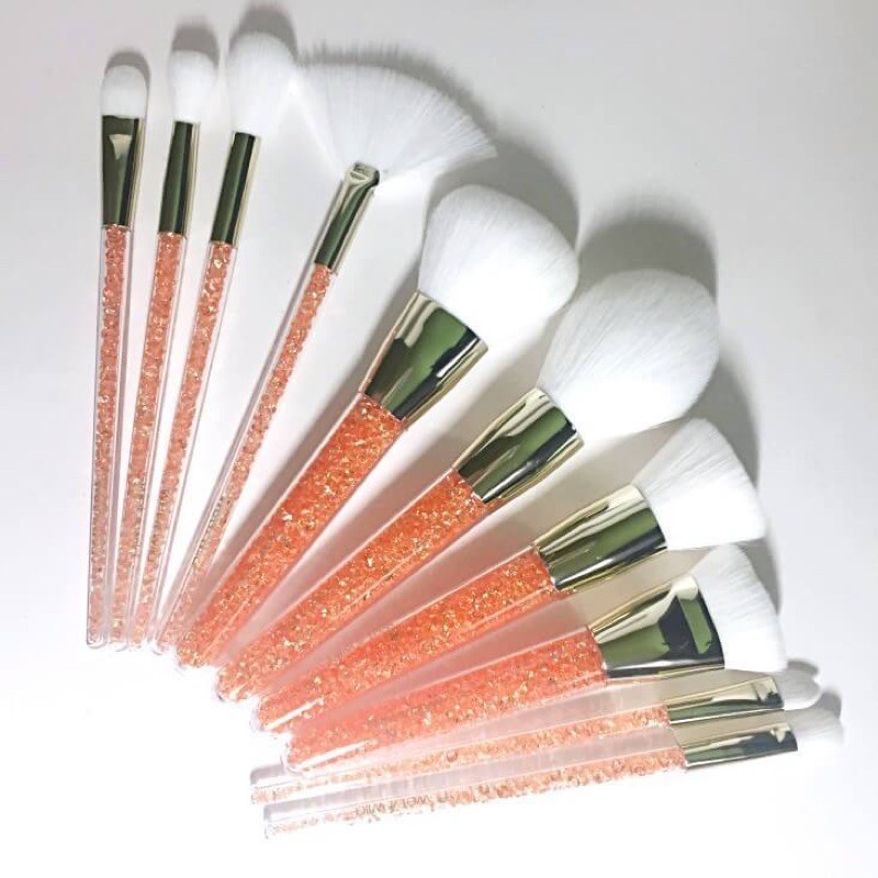  Bộ cọ 10 cây Wet n Wild 10 Piece Holiday Brush Set