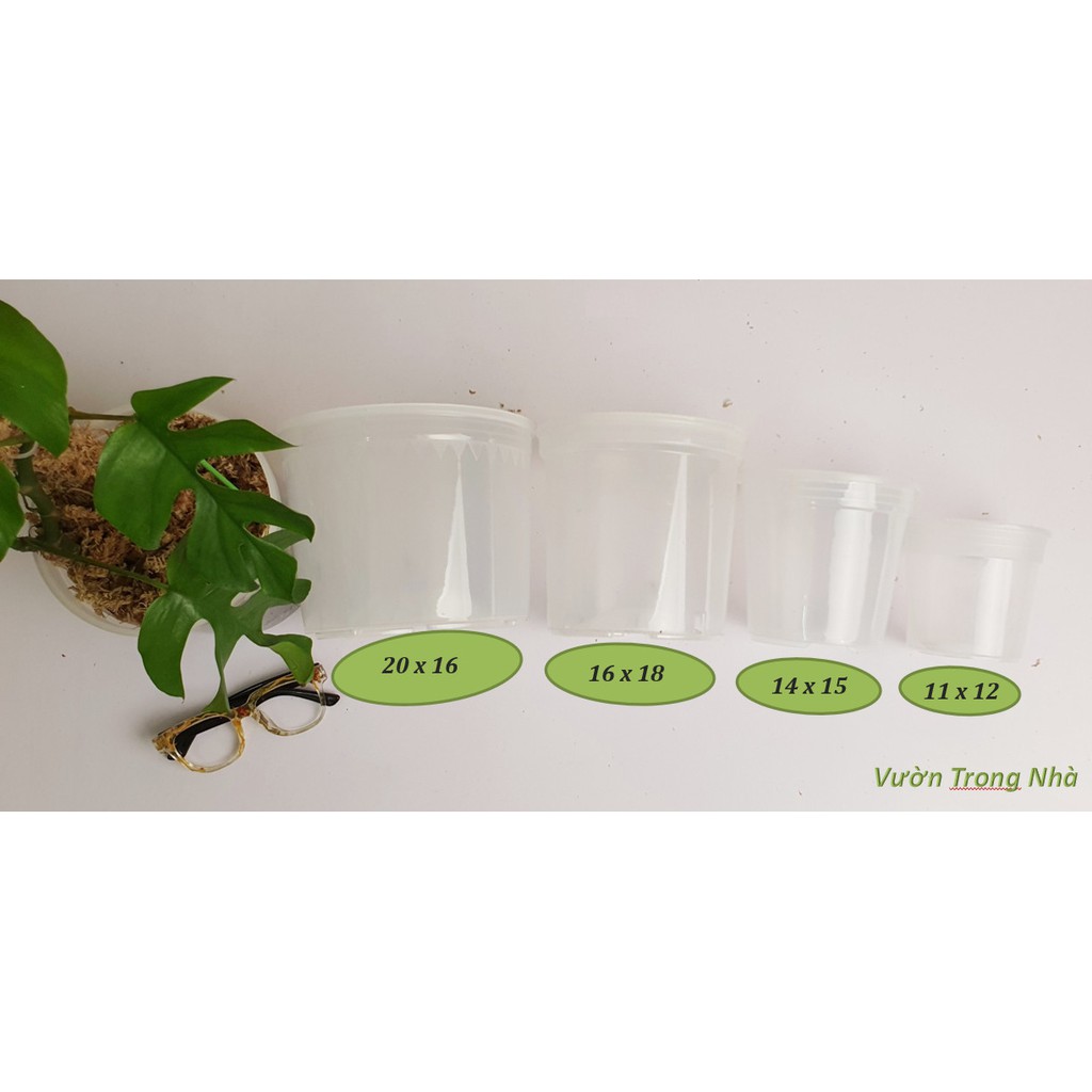 Chậu nhựa trong suốt nhựa cao cấp 4 kích thước nhỏ đến lớn dễ dàng quan sát rễ - Kiểng lá cao cấp