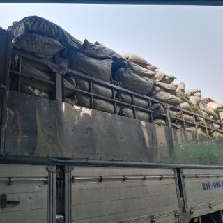 Hạt Óc Chó 500g