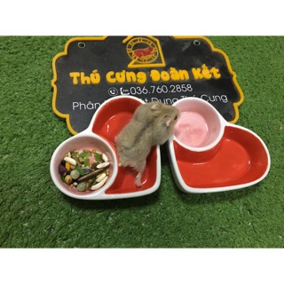 Chén sứ tim đôi - Chén ănhamster, nhím kiểng