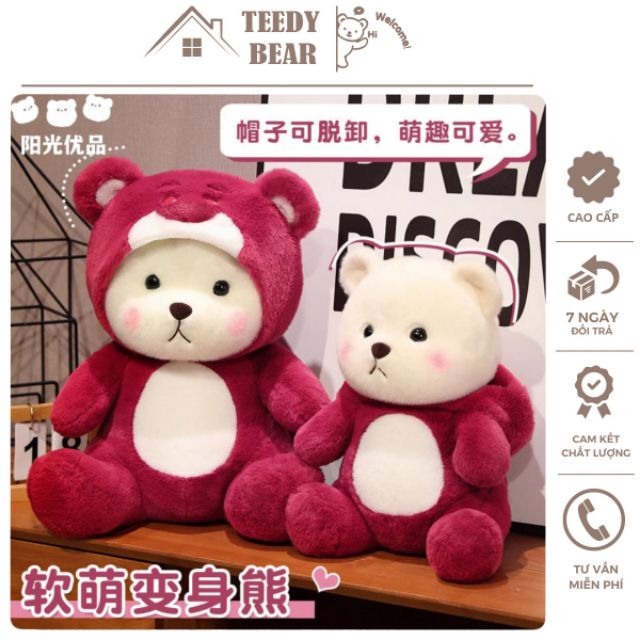 Teddy Bear Hà Nội