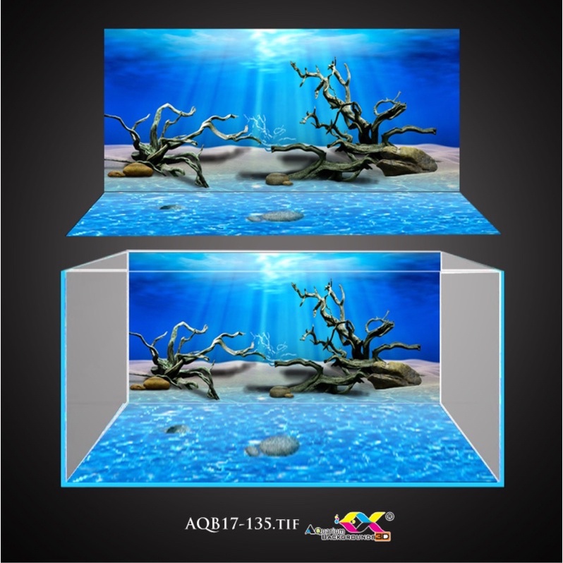 Tranh 3D dán bể cá ( bộ lưng + đáy)