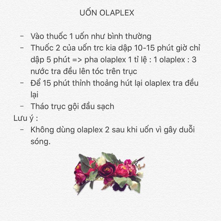 PHỤC HỒI OLAP.LEX SỐ 1 ( Olap.lex Bond Multiplier No.1)