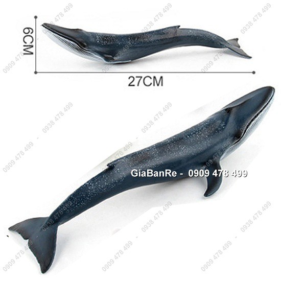 Mô Hình Cá Voi Xanh Dài 27cm - Thế Giới Động Vật - 7673.5