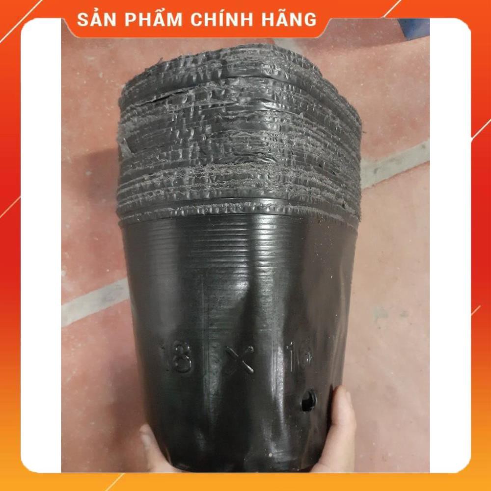 TÚI BẦU ƯƠM CÂY GIỐNG 14X16CM
