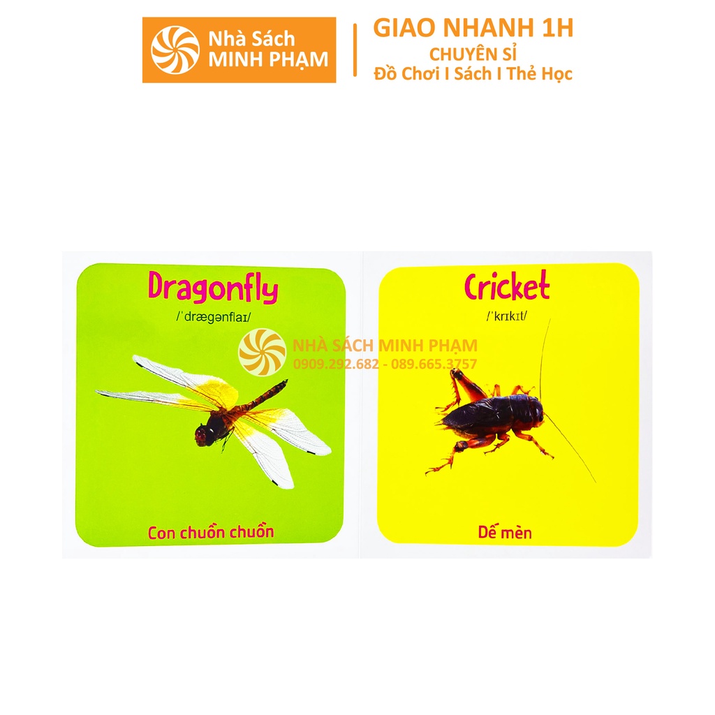 Sách Thư Viện Hình Ảnh Đầu Tiên Cho Bé Nhận Biết Thế Giới Xung Quanh (10 Cuốn)
