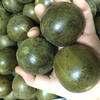 La hán quả hàng loại 1 đóng gói 10 trái