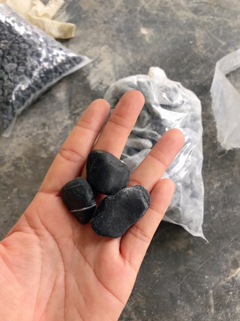 Đá sỏi đen trang trí hồ cá