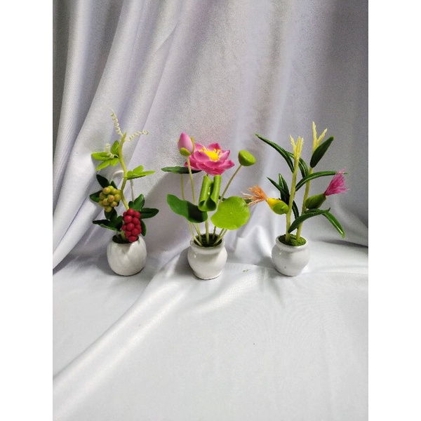 Combo 3 chậu hoa mini cao 14cm đến 15cm
