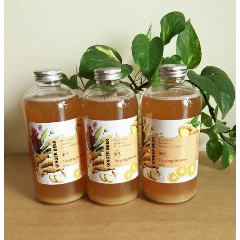 bia gừng ( ginger beer ) 500ml