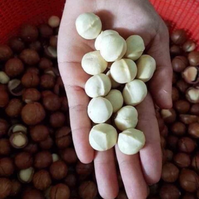 500g Hạt macca Úc nứt tự nhiên loại 1(bao ngon)