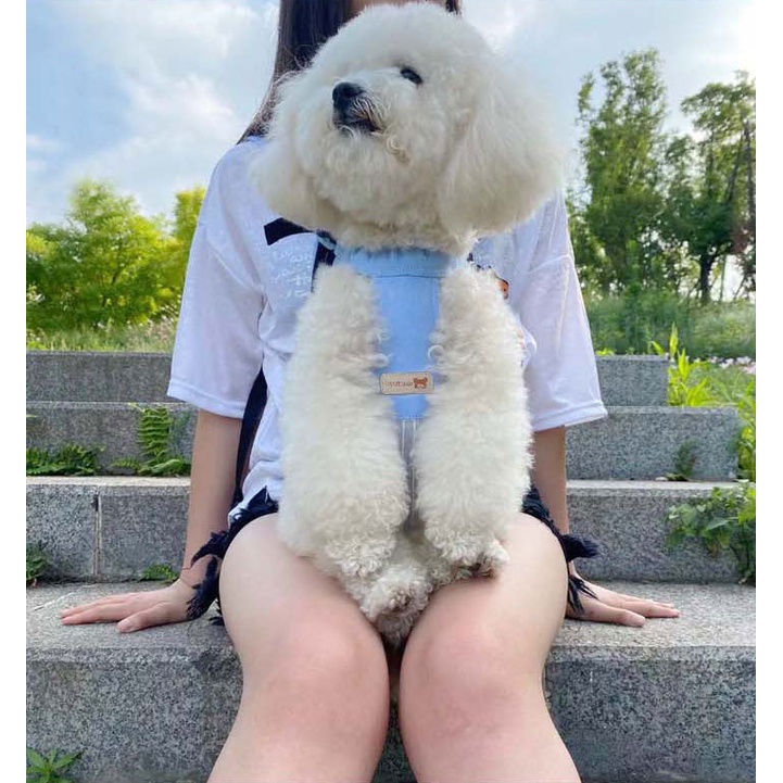 ĐỊU VẬN CHUYỂN CHÓ MÈO