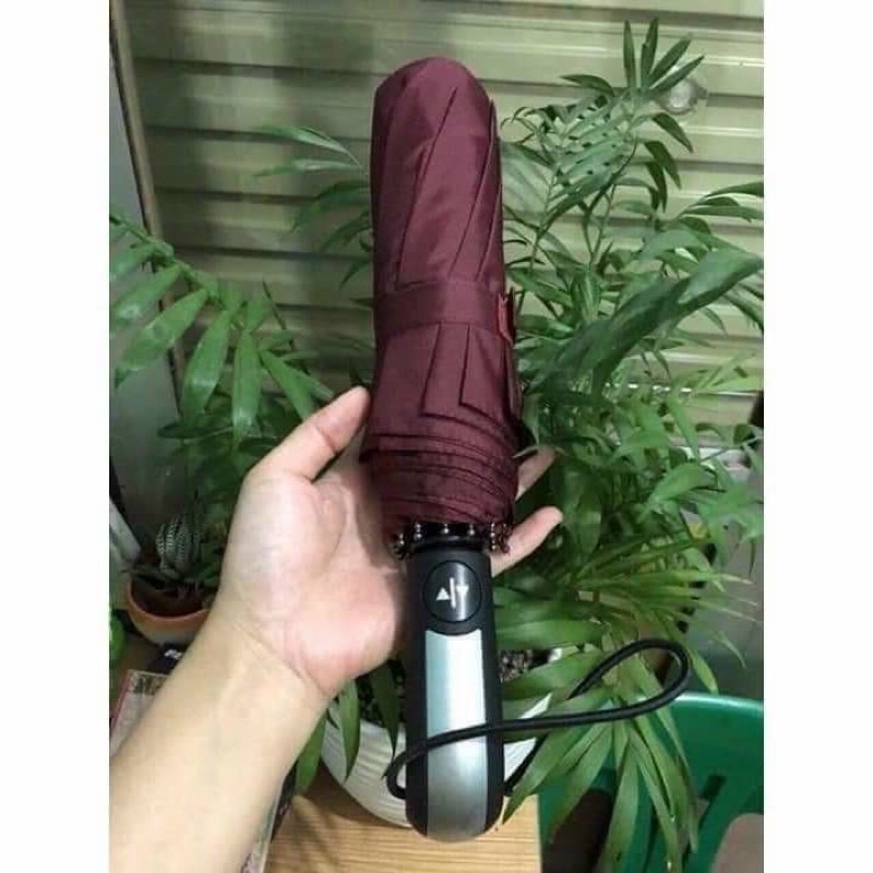 Ô gấp tự động 2 chiều xuất nhật 10 nan