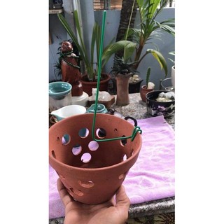 Que Nẹp Chậu Giữ Lan, Kẹp chậu (Dài 28-30cm )