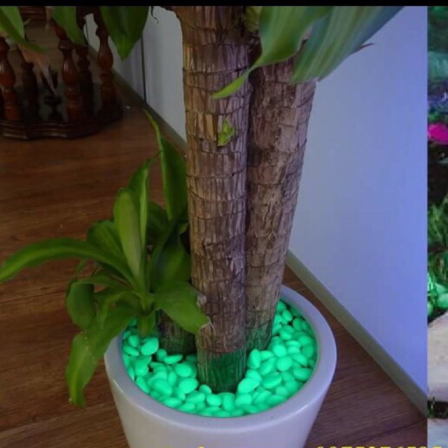 sơn phát quang phát sáng dạ quang  lọ 15ml