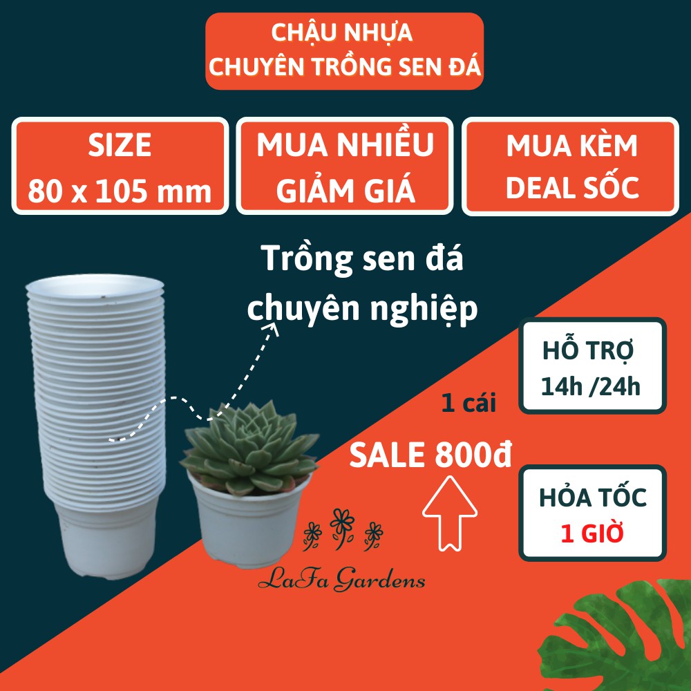 Chậu trồng cây sen đá LAFAGARDEN kích thước 105x80mm chậu nhựa trồng cây sen đá chuyên nghiệp tiện lợi độ bền cao