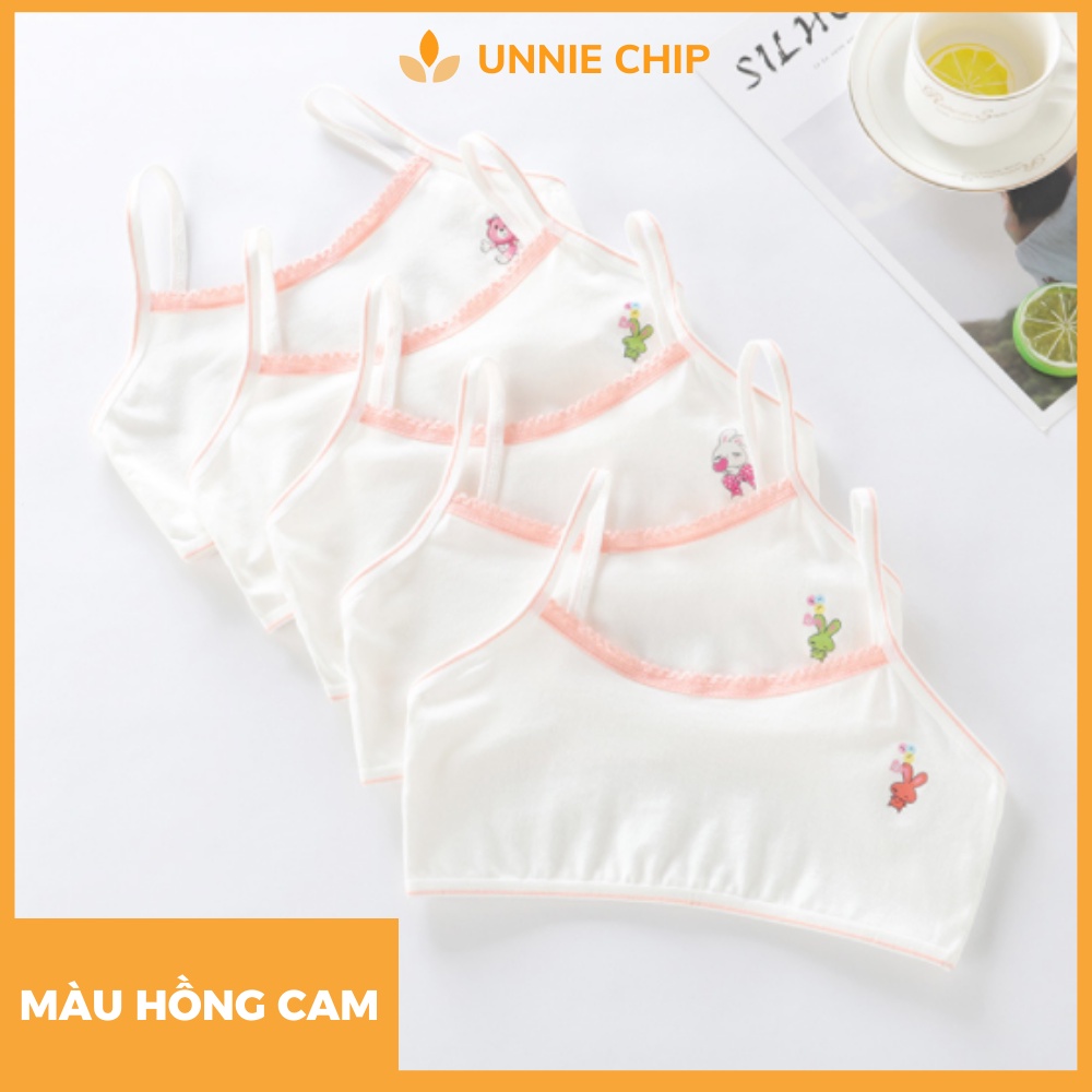 [RẺ VÔ ĐỊCH] Áo lá học sinh cấp 2 bé gái trung học freesize(25-45kg) AL05