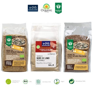 Hạt Lanh Nâu Brown Flaxseed Hữu Cơ 500g