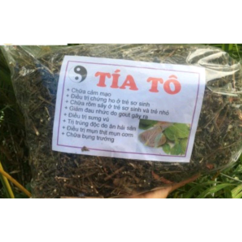 Cây Tía Tô Khô 500g