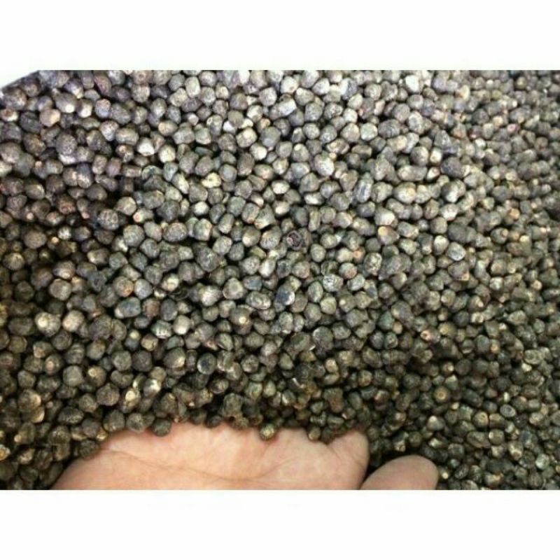 Hạt Chuối Hột Rừng - Bột hạt chối hột rừng nguyên chất - 1kg - hàng mới, sạch, khô