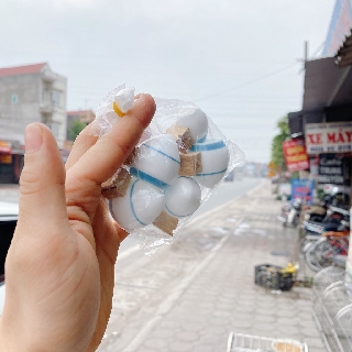 Cóng Chim Vành Khuyên 5