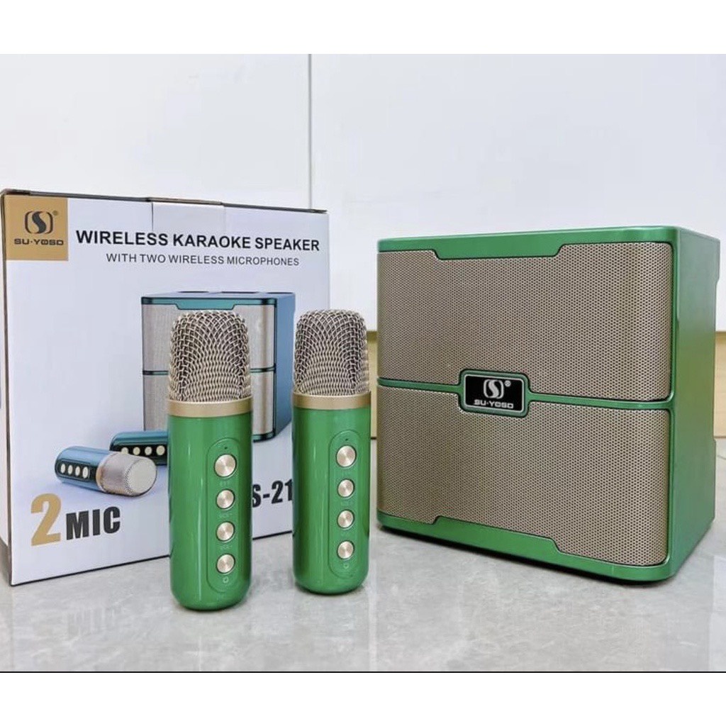 Loa bluetooth karaoke YS-213 - Tặng kèm 2 micro không dây [ BH 06 Tháng 1 đổi 1 ]